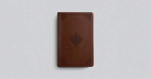 ESV Large Print Value Thinline Bible