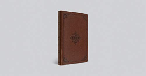 ESV Large Print Value Thinline Bible