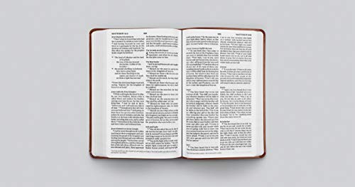 ESV Large Print Value Thinline Bible