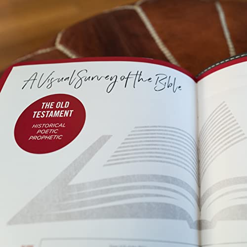 New King James Version, Thinline Bible Youth Edition, Leathersoft, Brown