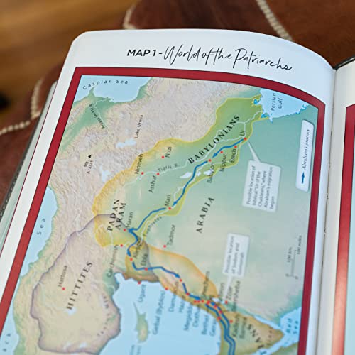 NKJV, Thinline Bible Youth Edition, Leathersoft, Gray