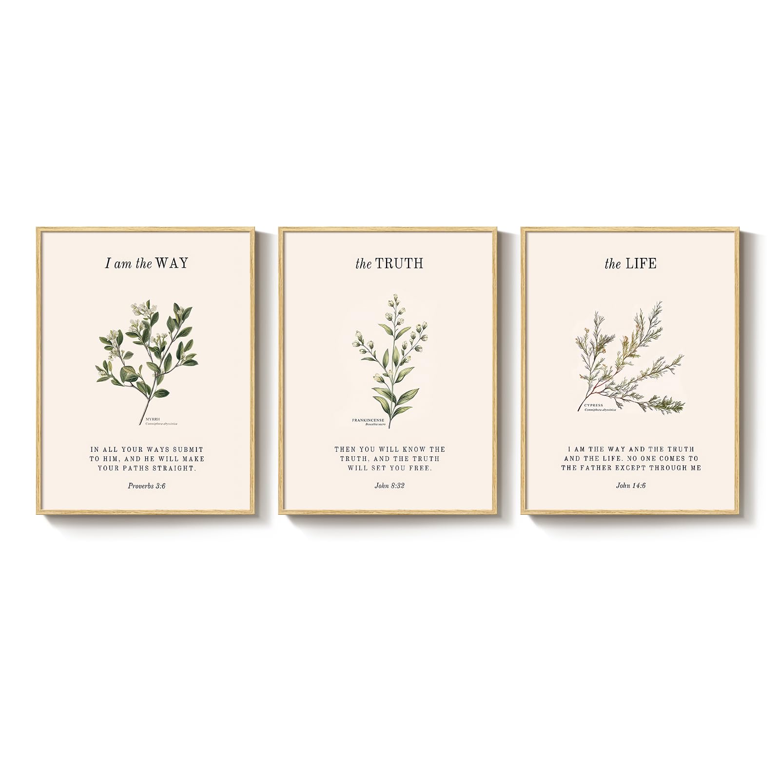 3 Set, Framed Christian Wall Art, 12x16 Inch