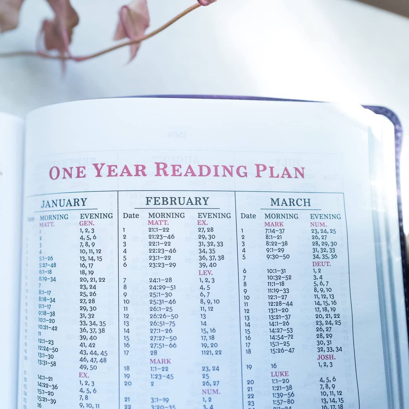 KJV, Sovereign Collection, Leathersoft, Brown