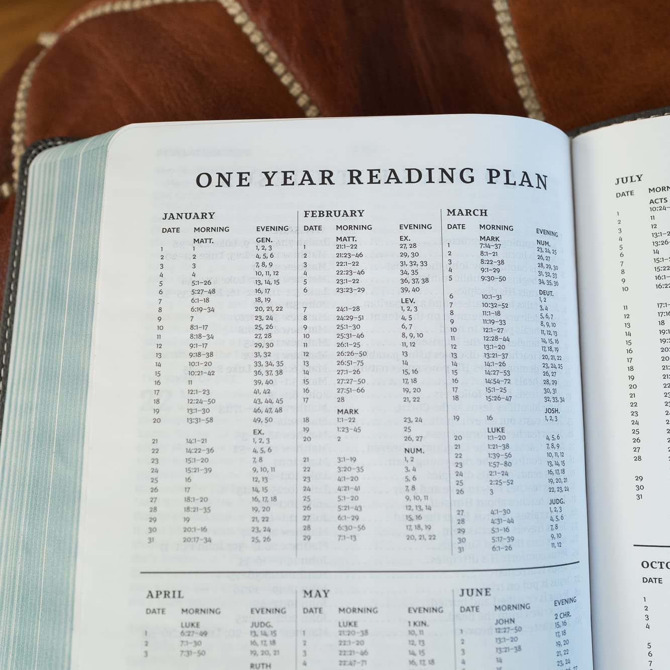 New King James Version, Thinline Bible Youth Edition, Leathersoft, Brown