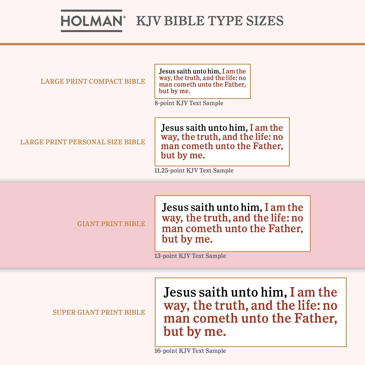 KJV Giant Print with Cross-References, Soft Pink Leather Touch