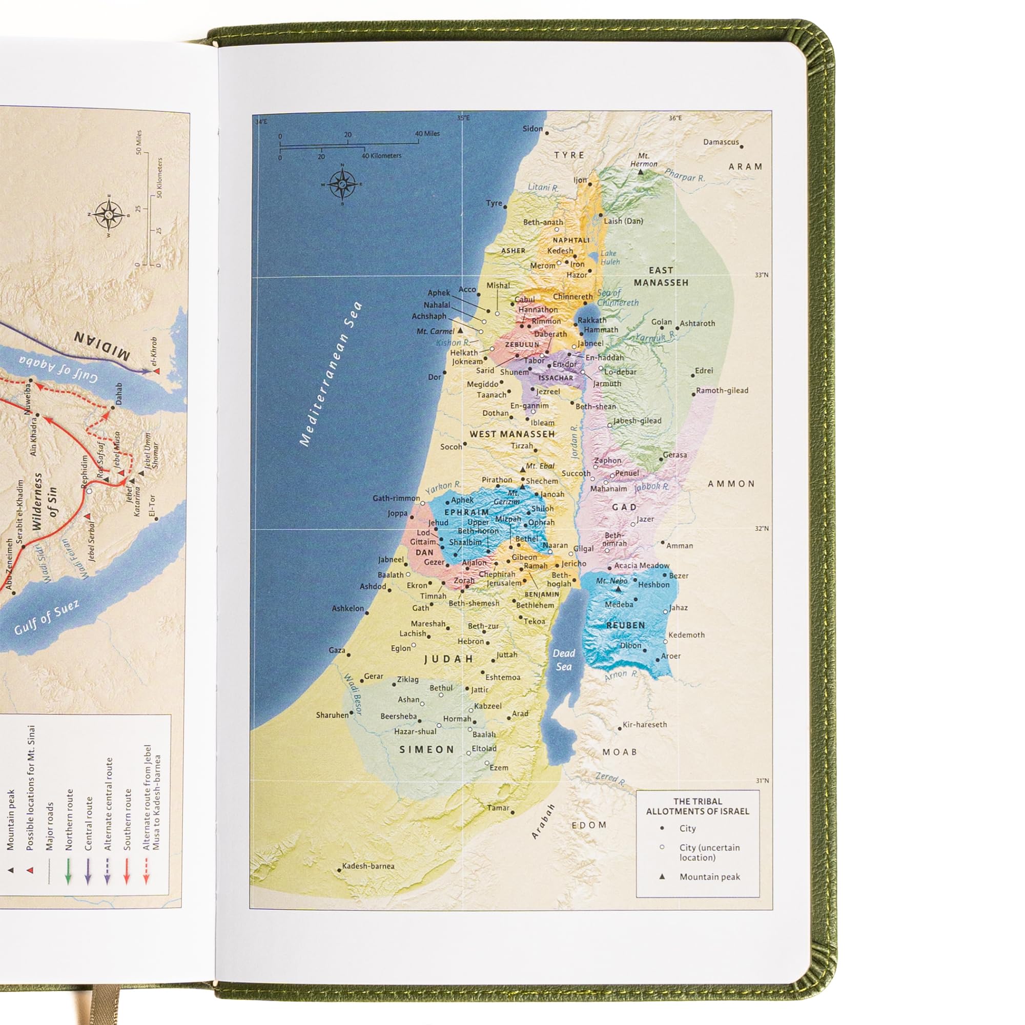 Large Olive Leather Touch, Red Letter