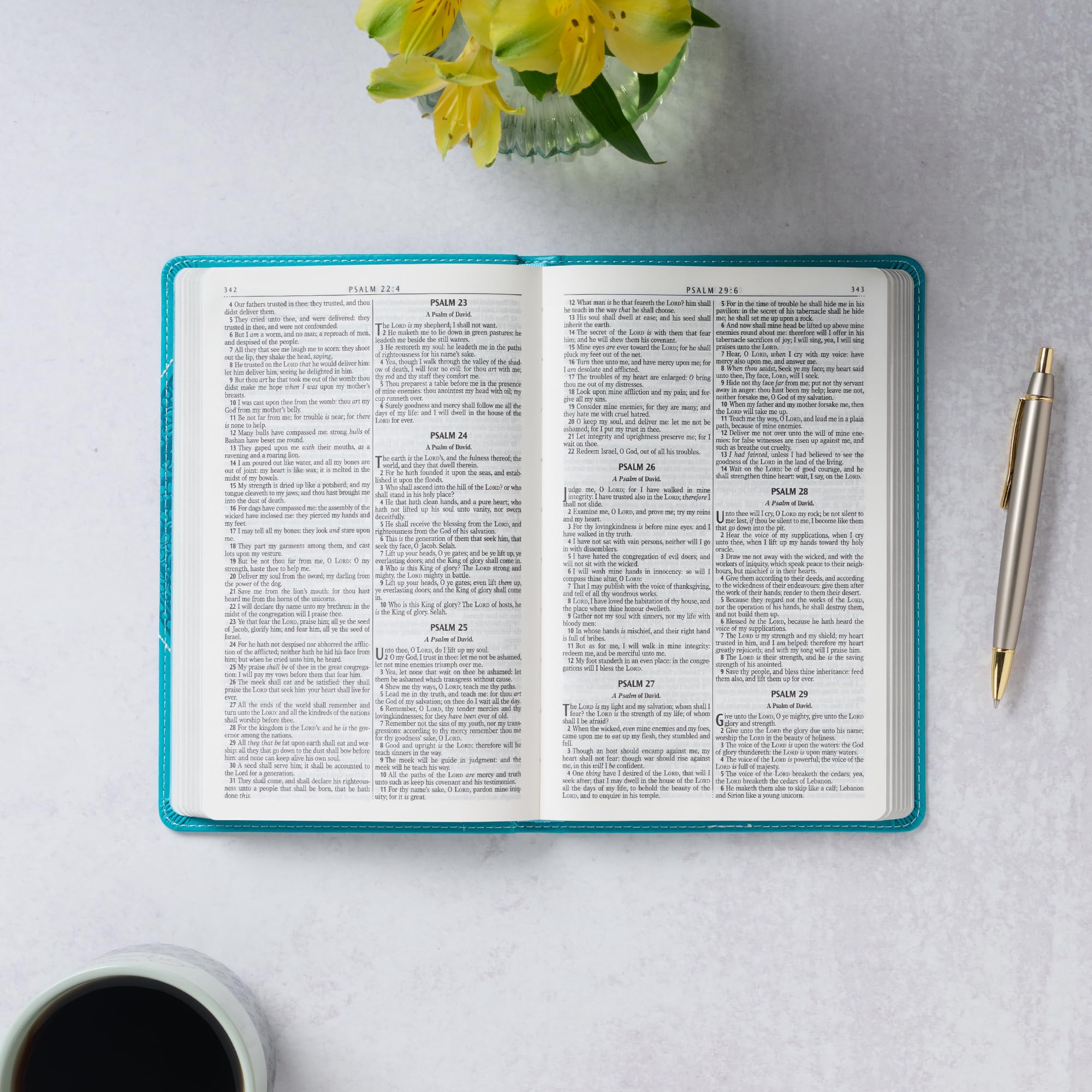 KJV Holy Bible for Girls/Teens, Flexible Cover, Teal Butterfly (KJV Gift Editions)