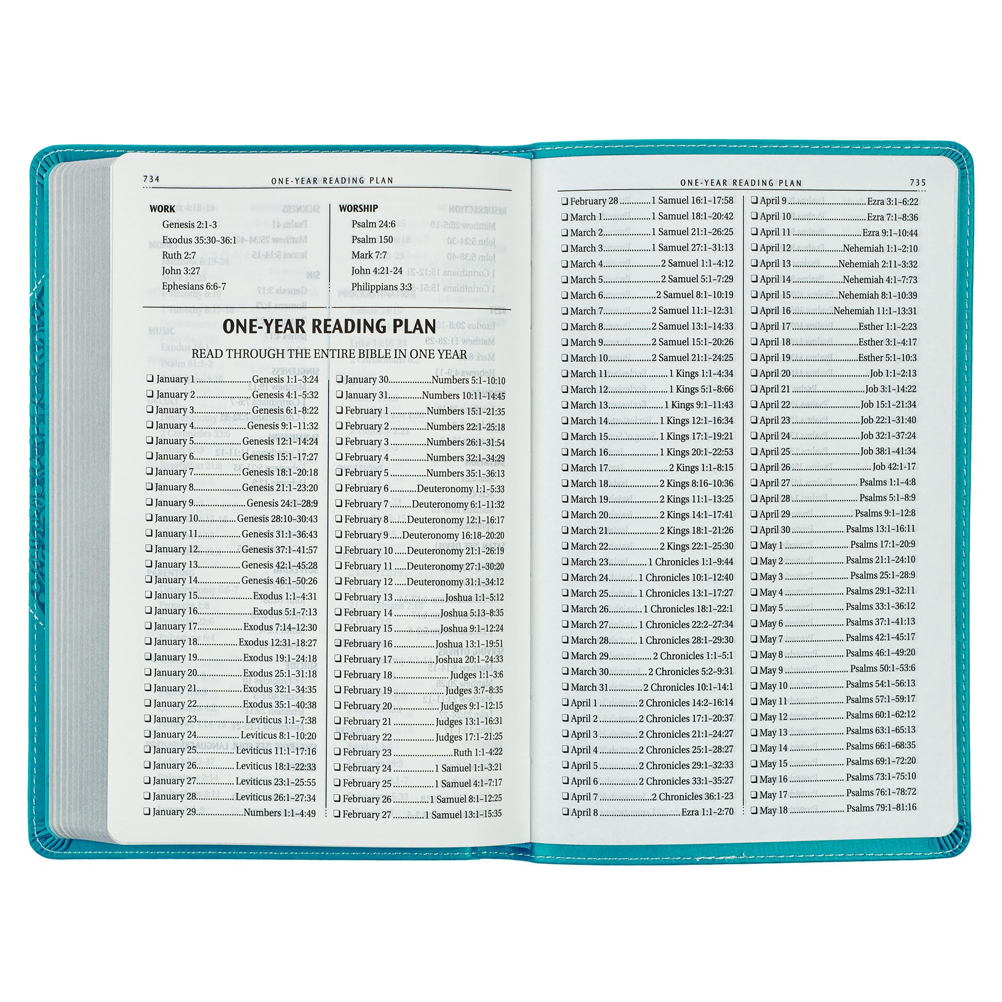 KJV Holy Bible for Girls/Teens, Flexible Cover, Teal Butterfly (KJV Gift Editions)