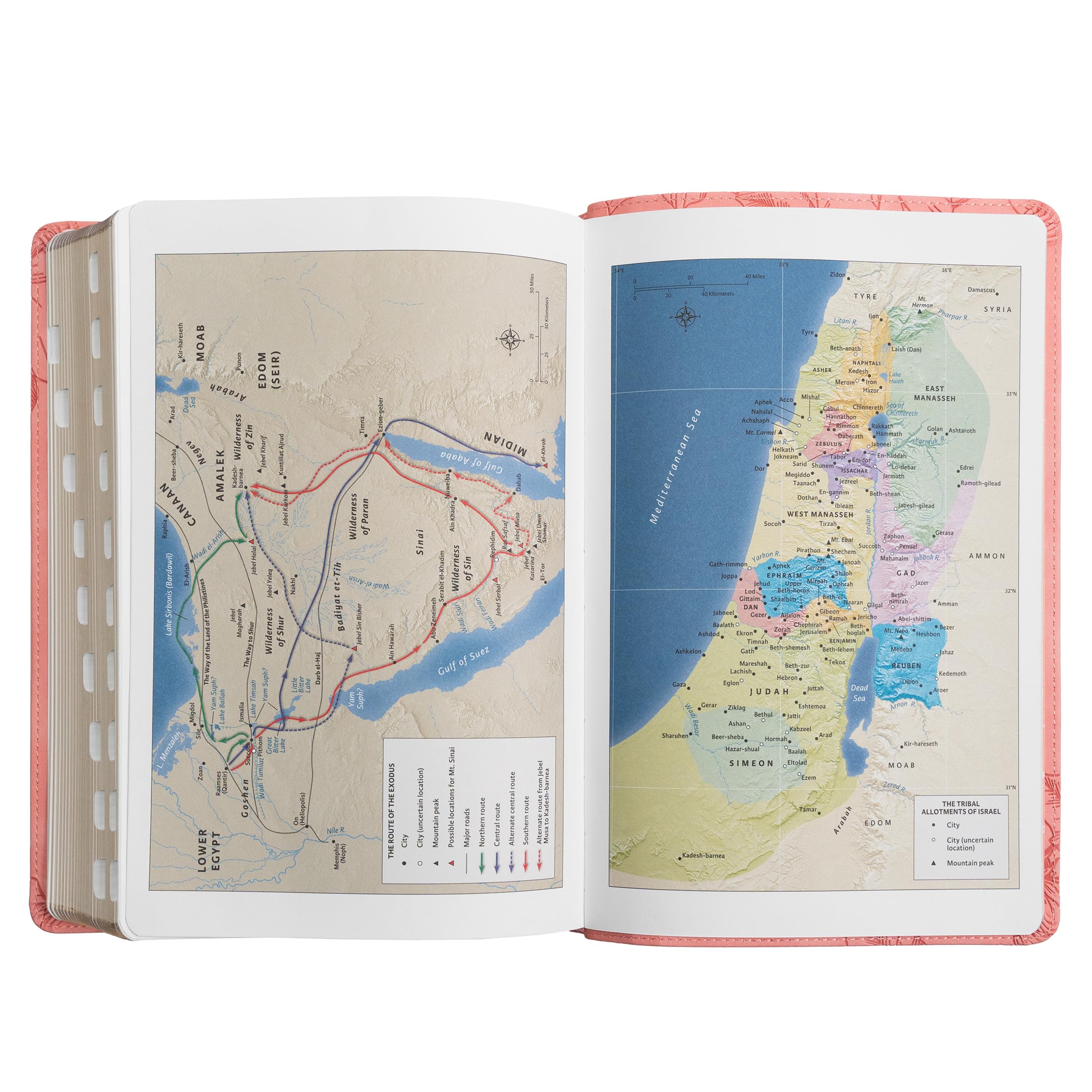 KJV Giant Print with Cross-References, Soft Pink Leather Touch