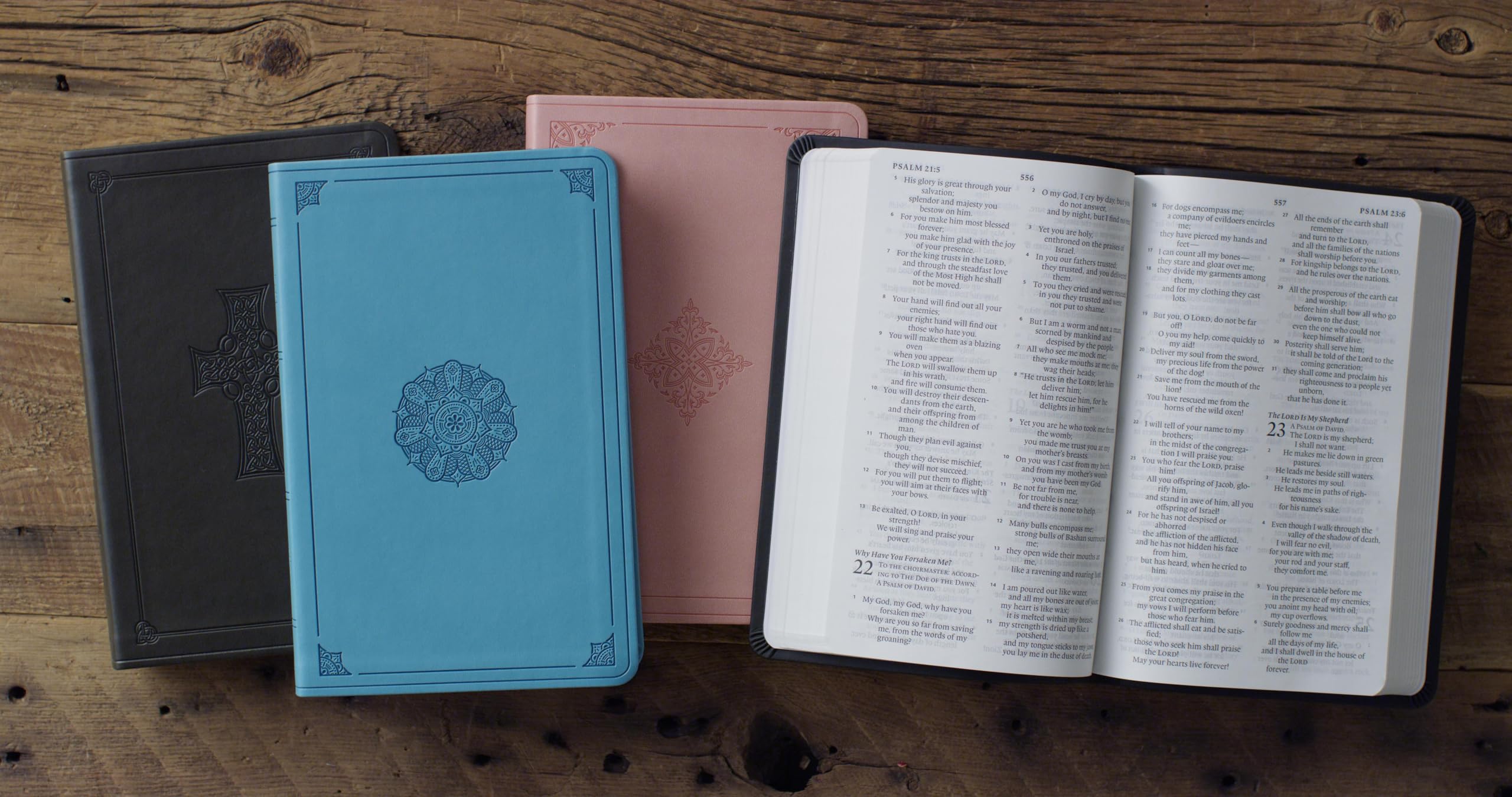 ESV Large Print, Turquoise, Emblem Design