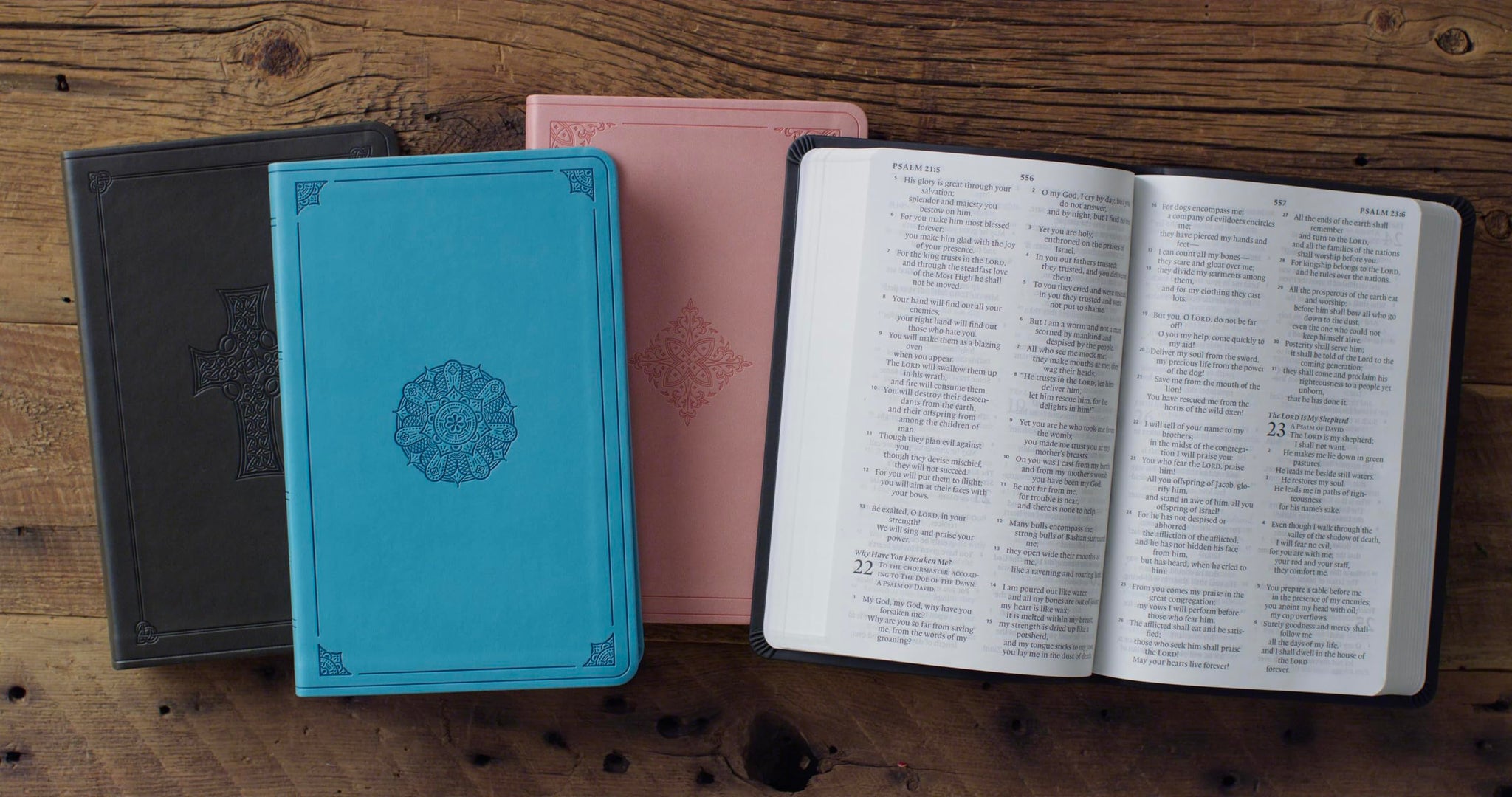 ESV Large Print, Turquoise, Emblem Design