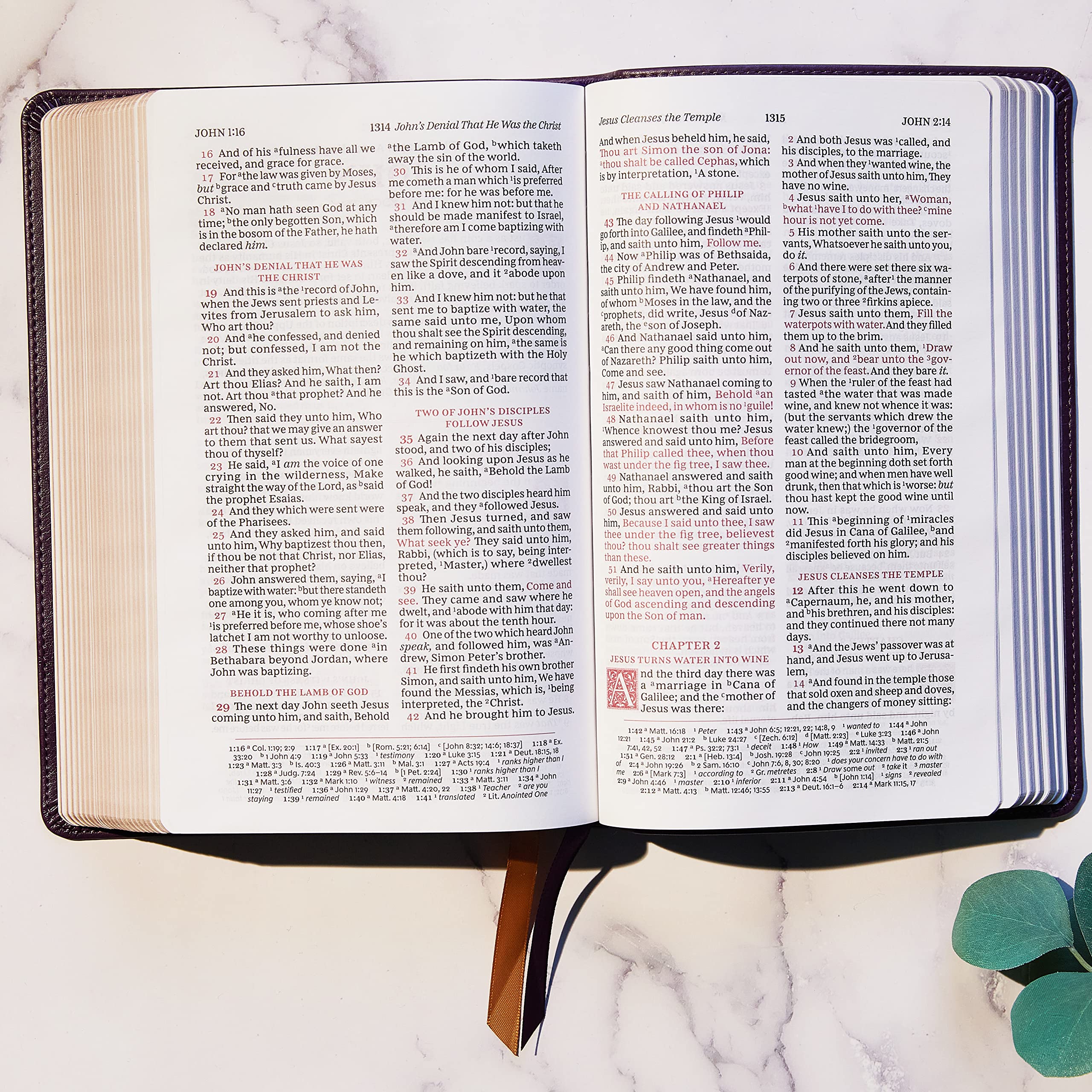 KJV, Sovereign Collection, Leathersoft, Brown