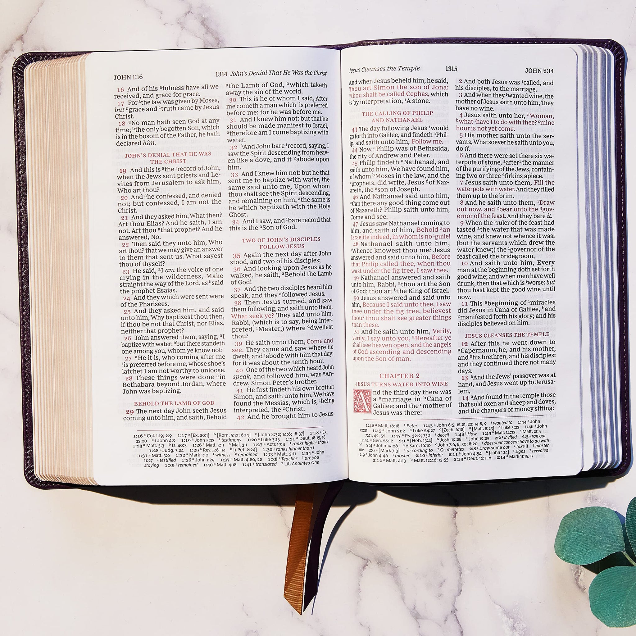 KJV, Sovereign Collection, Leathersoft, Brown