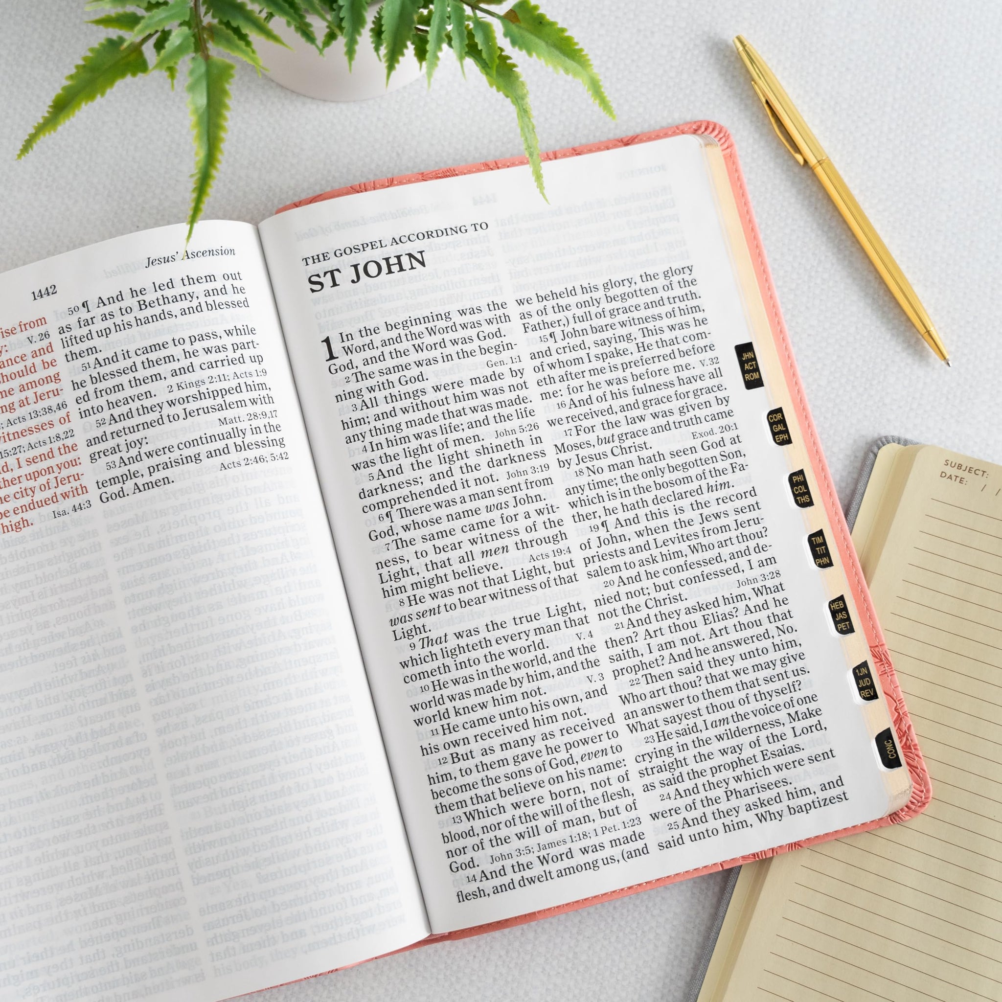 KJV Giant Print with Cross-References, Soft Pink Leather Touch