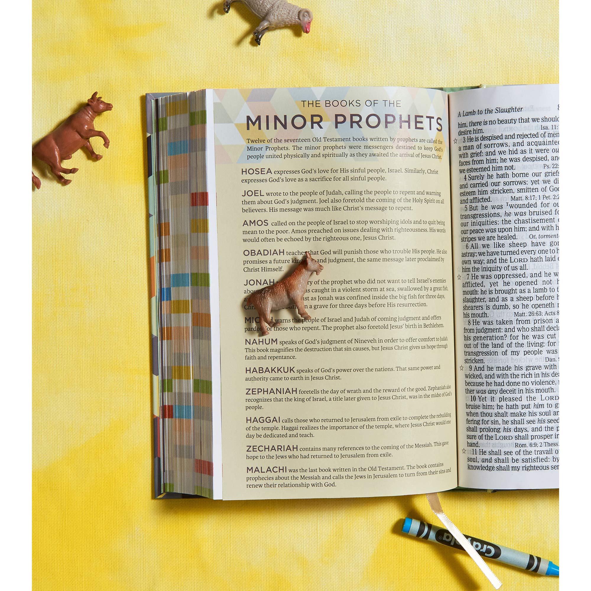 KJV Kids Bible, Hardcover