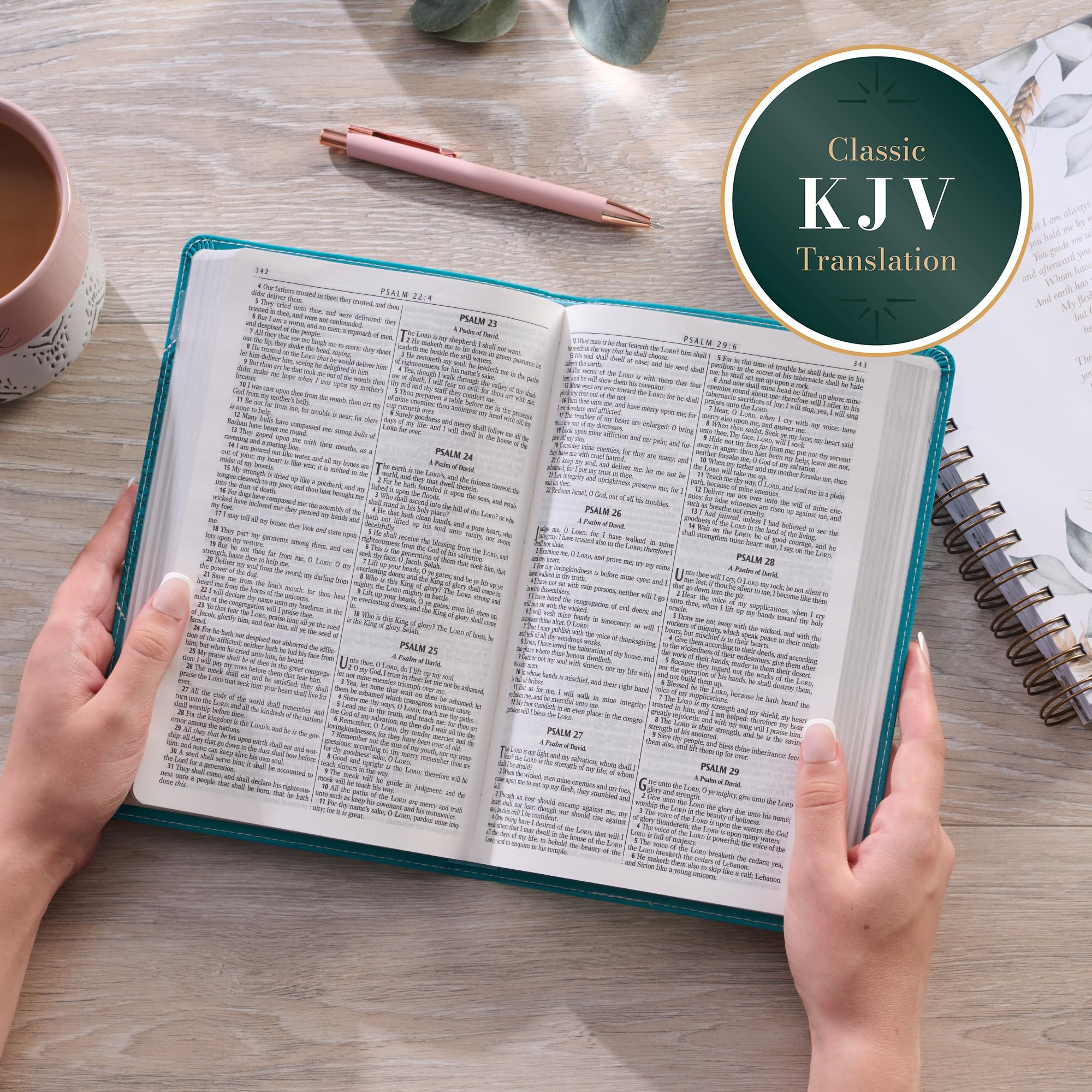 KJV Holy Bible for Girls/Teens, Flexible Cover, Teal Butterfly (KJV Gift Editions)