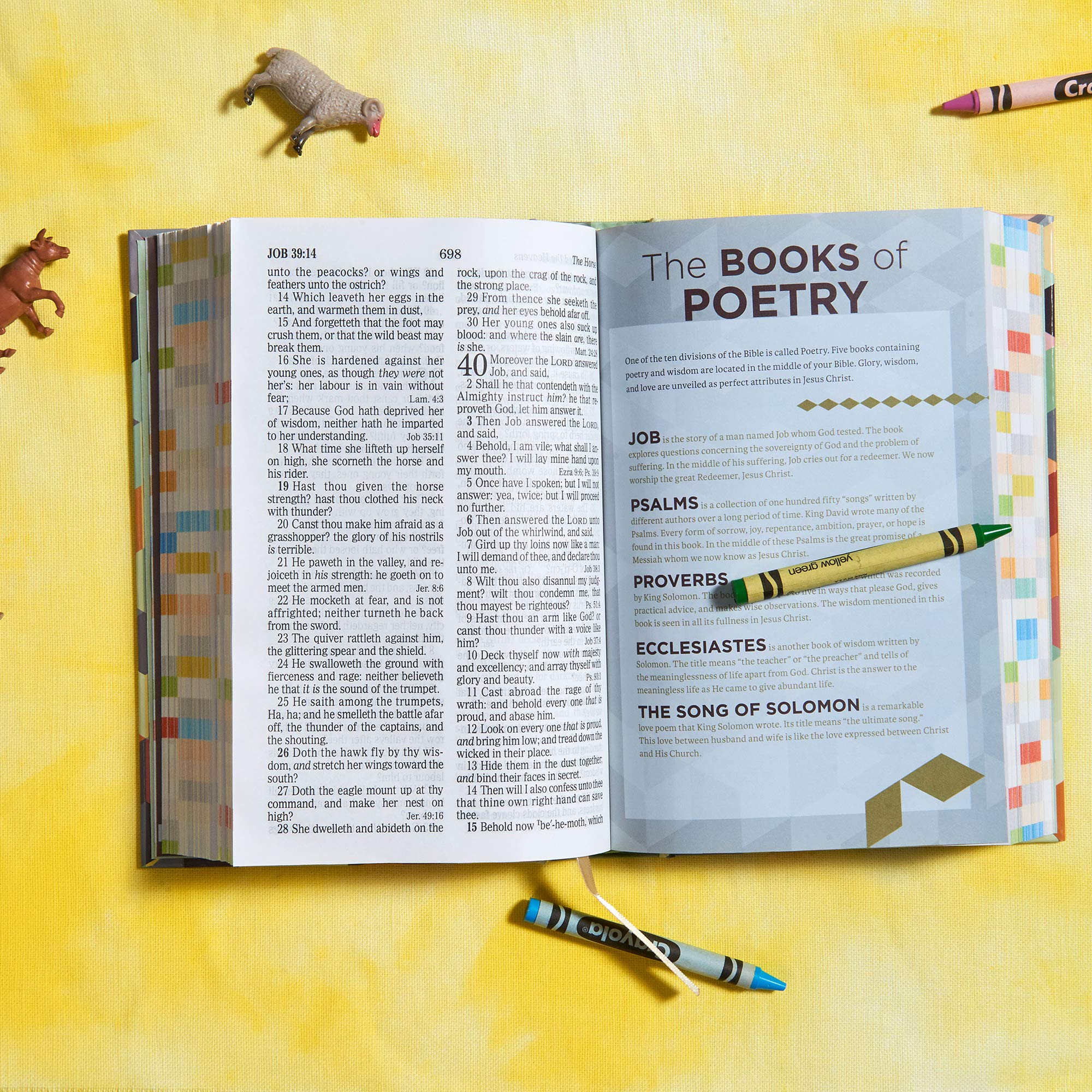 KJV Kids Bible, Hardcover