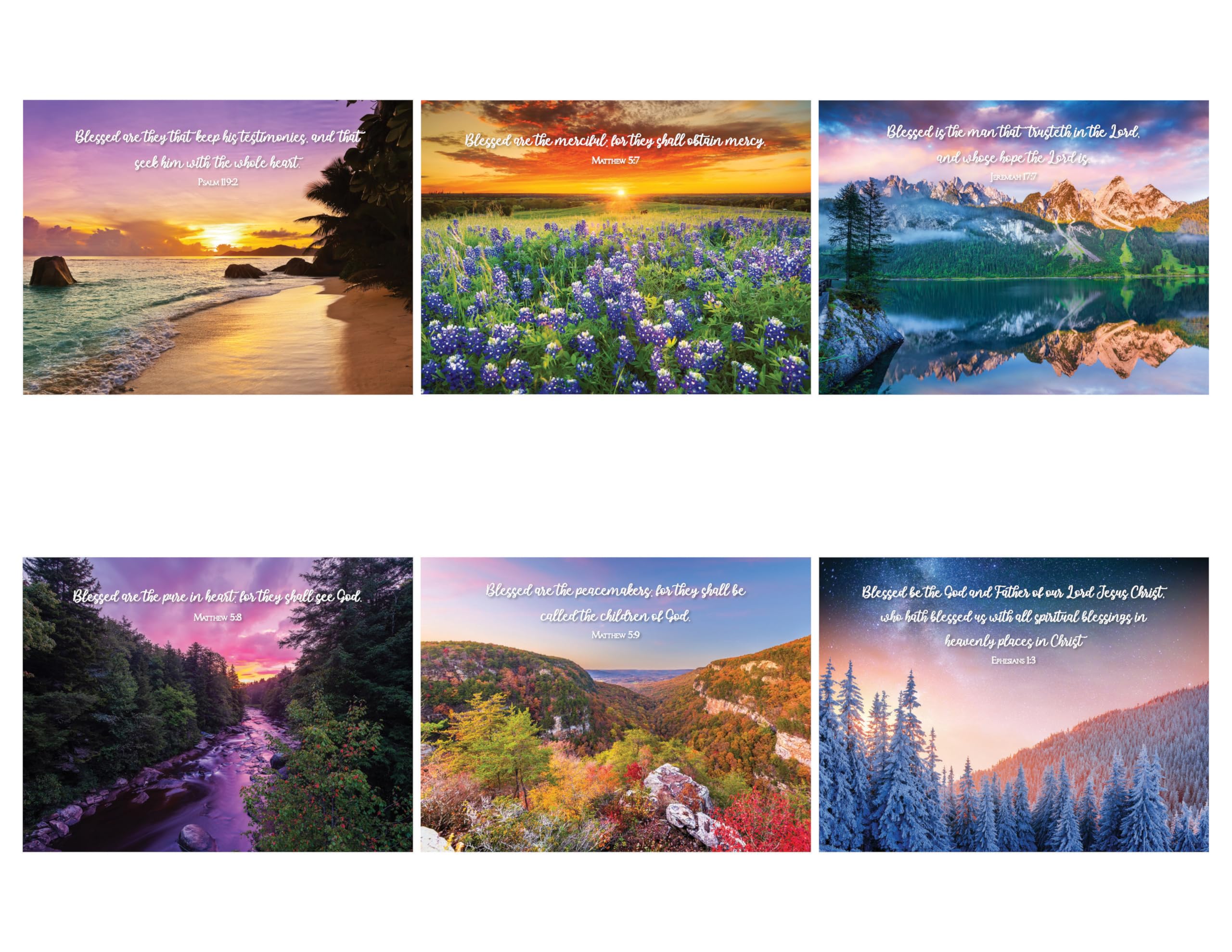 Truly Blessed Bible Verse Calendar 2026