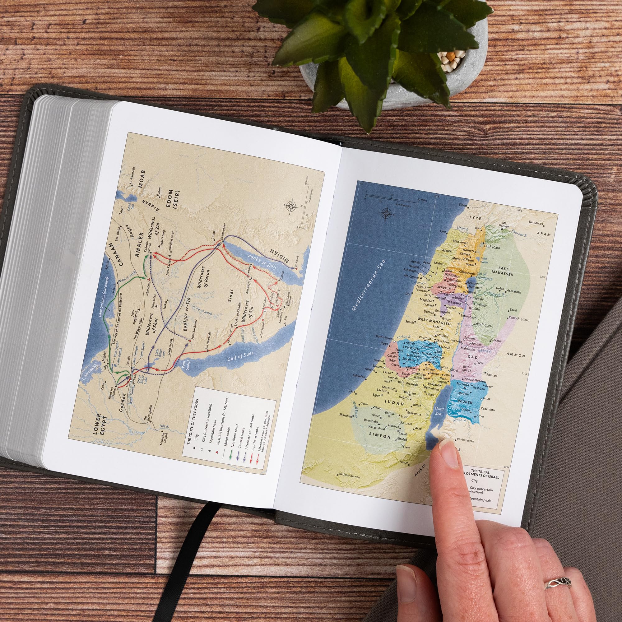 Large Print Bible, Charcoal Leather Touch