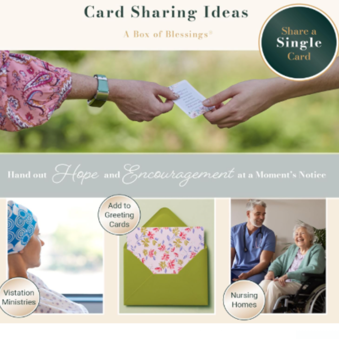 Daily Scripture Box for Women